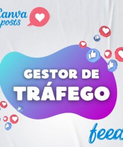 1 - Gestor de Tráfego - Feed Canva