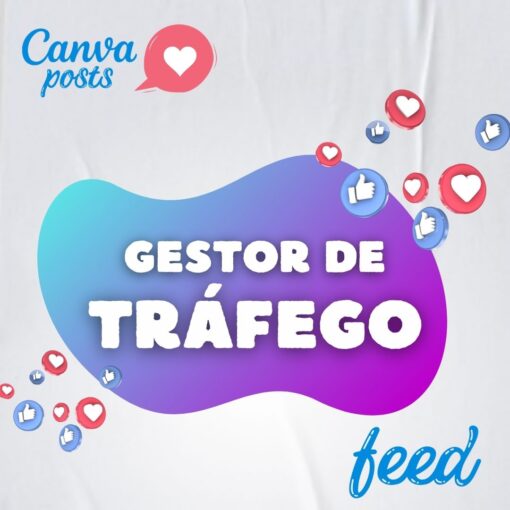 1 - Gestor de Tráfego - Feed Canva