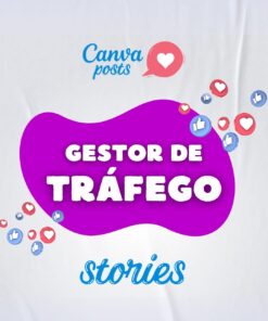 1 - Gestor de Tráfego - Stories Canva